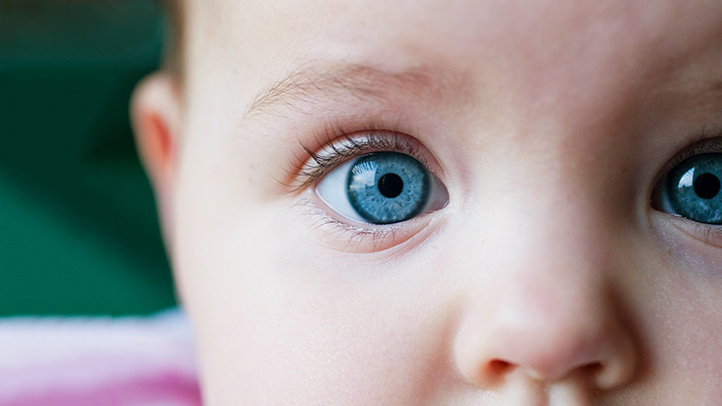 newborn eye