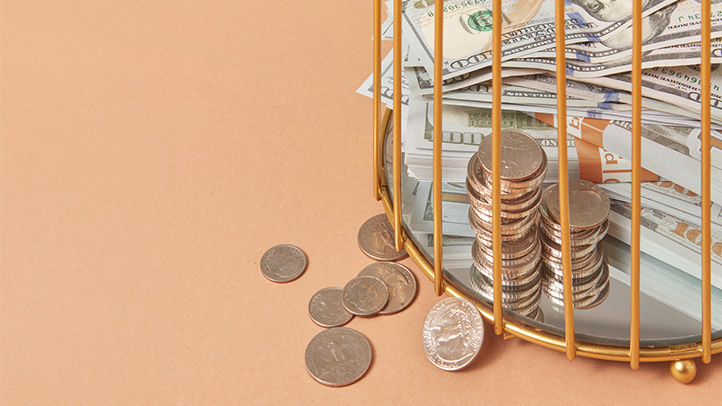 Money in a cage