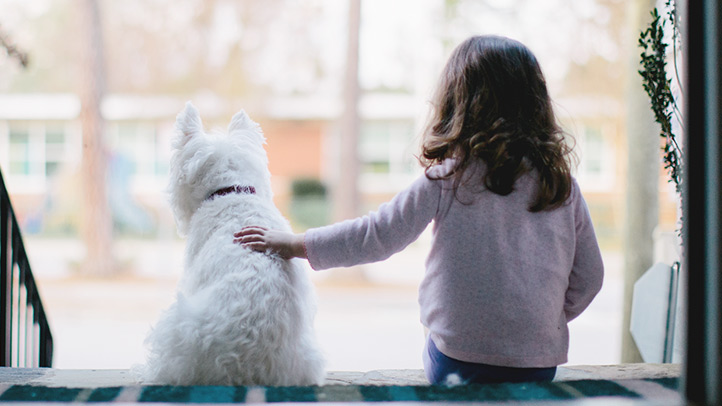 dog bites in children, little girl with dog on front steps of house